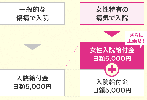 女性特有の病気には入院給付金を上乗せ